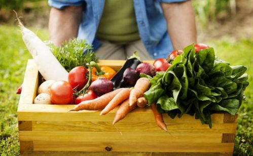 不被限制的孩子，飲食更自律 日用百貨中的教育智慧